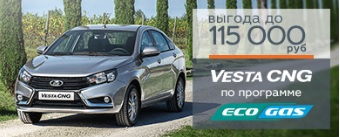 Программа ''ECOGAS''